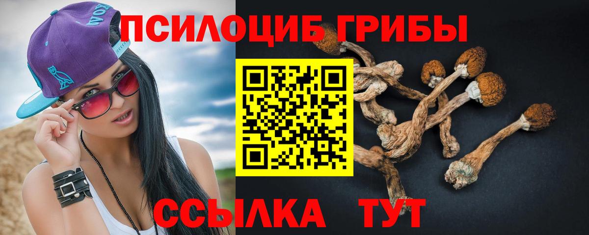 Мыски  Псилоцибиновые грибы прущие грибы  Вход с VPN 
