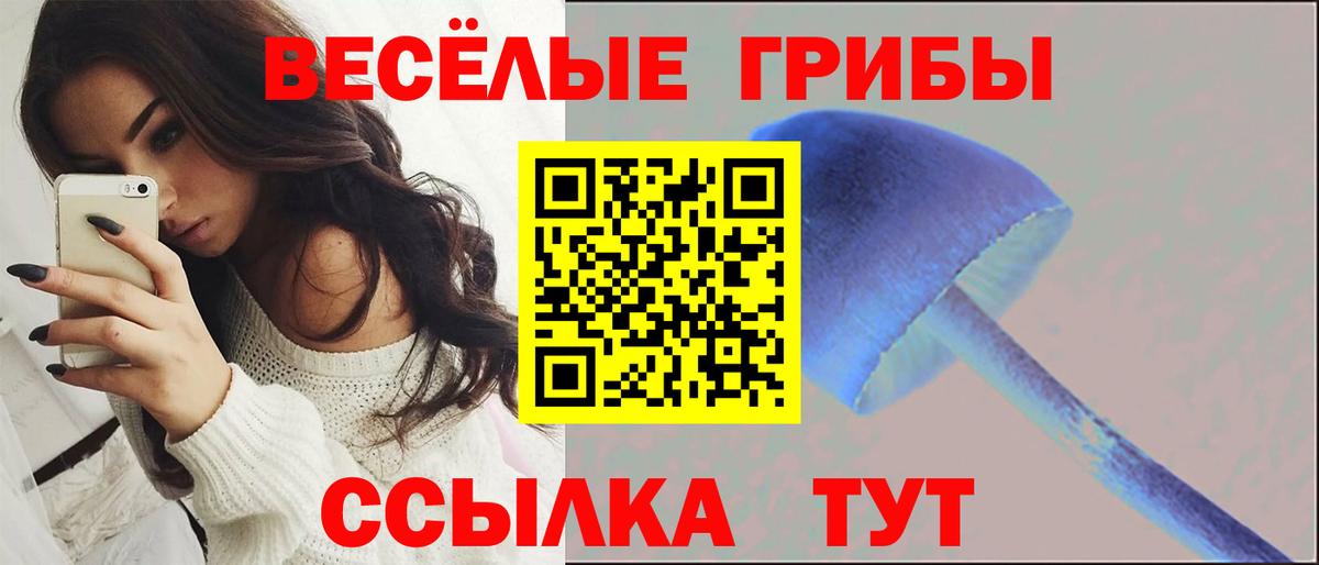 Псилоцибиновые грибы MAGIC MUSHROOMS Мыски
